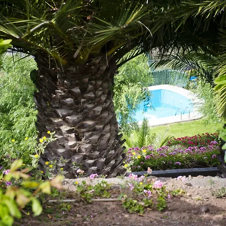 Finca Los Geranios Отель типа 