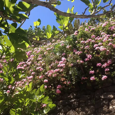 Oda ve Kahvaltı Geranios 3*