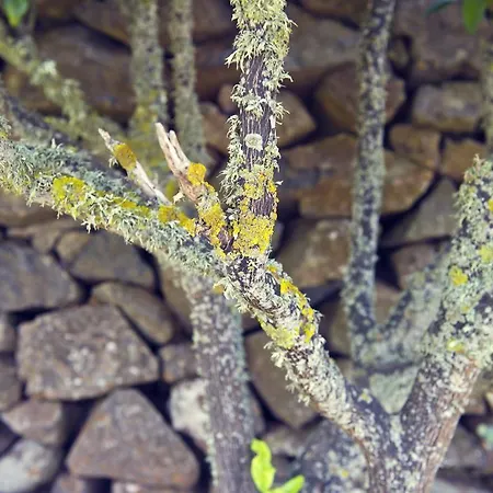 Finca Los Geranios 3*