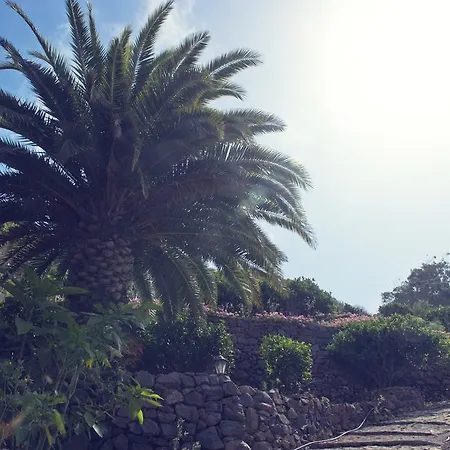 Finca Los Geranios Отель типа 