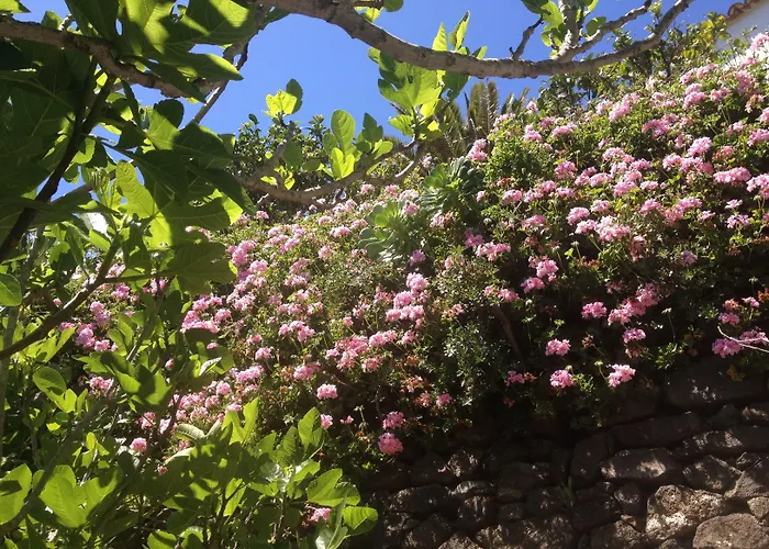 Frühstückspension Finca Los Geranios 3*