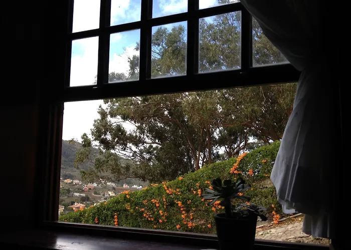 Geranios B&B Las Mercedes